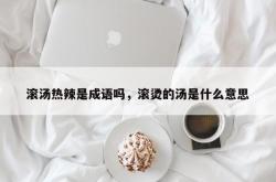 滚汤热辣是成语吗，滚烫的汤是什么意思