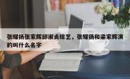 张耀扬张家辉邱淑贞综艺，张耀扬和梁家辉演的叫什么名字