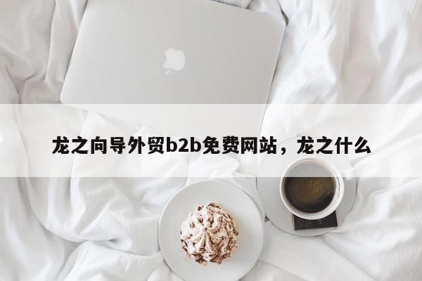 龙之向导外贸b2b免费网站,龙之什么